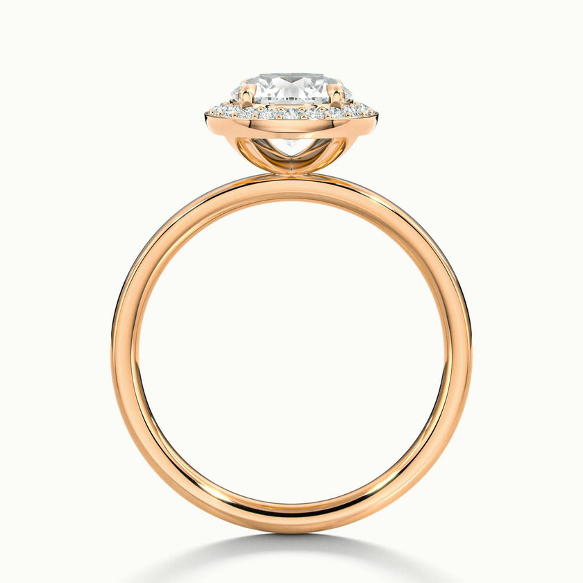 Novera Round Halo Engagement Ring