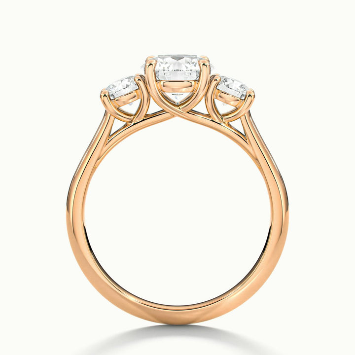 Fiorielle Round Three Stone Diamond Engagement Ring
