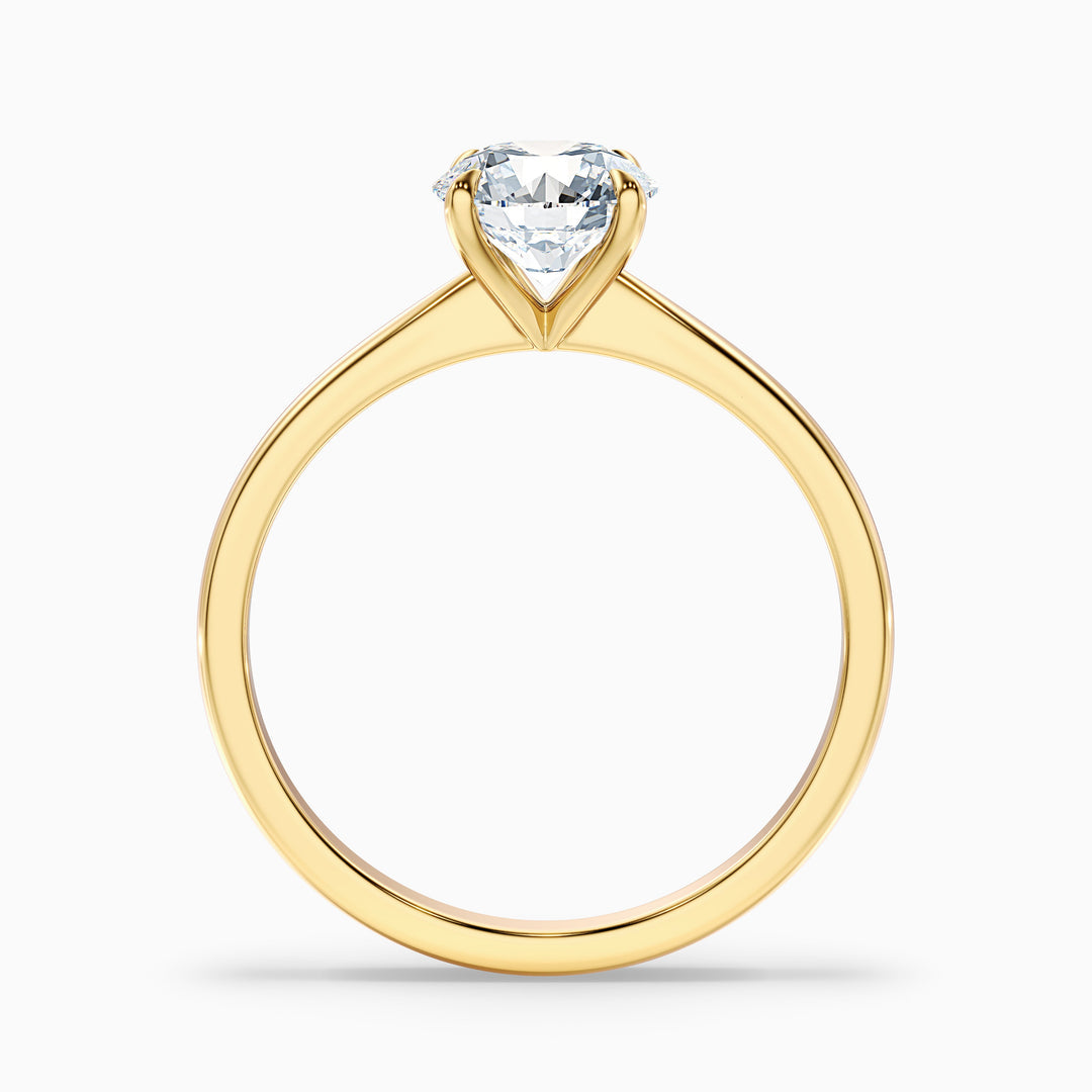 Secret Round Solitaire Lab Grown Diamond Ring