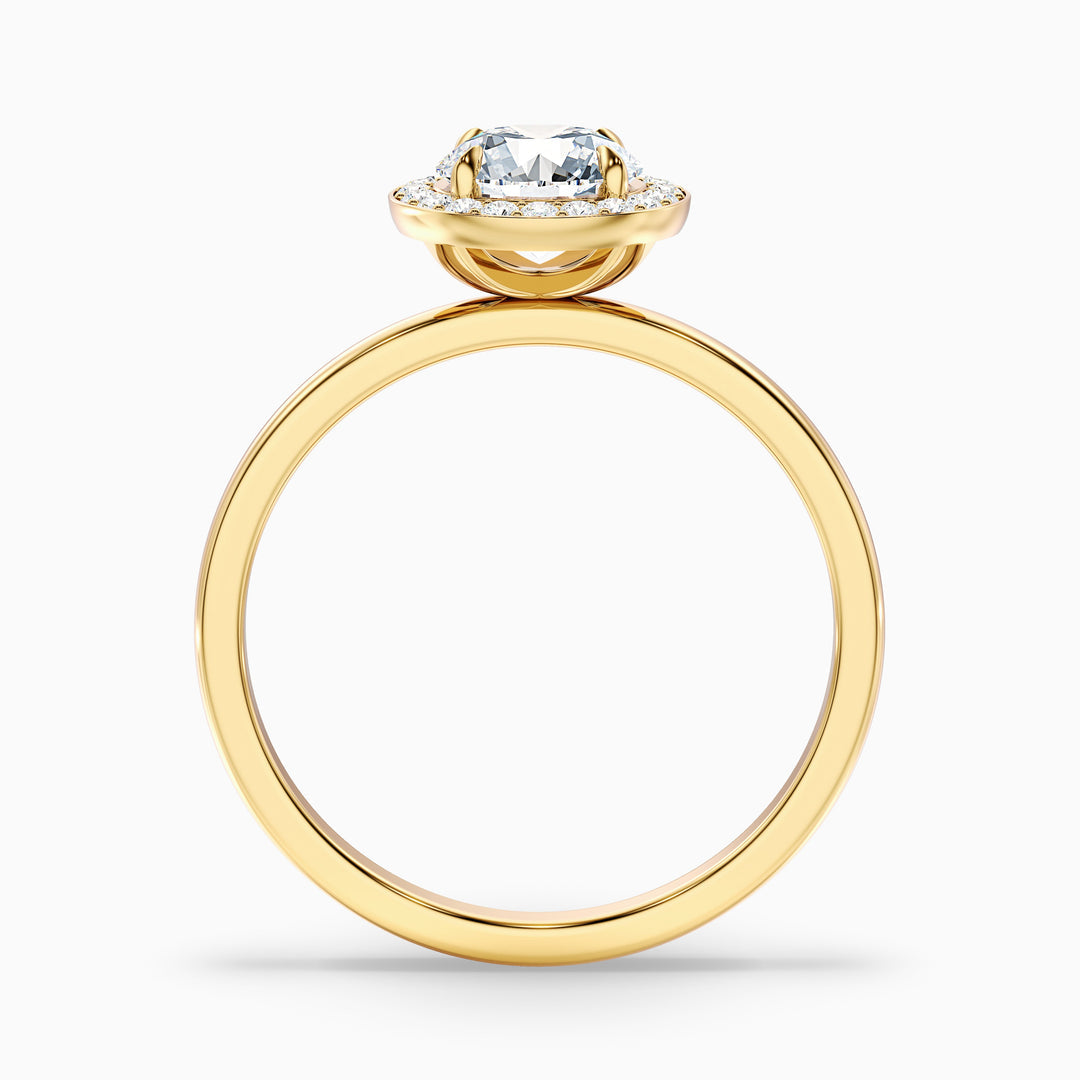 Rohini Round Halo Lab Grown Diamond Ring